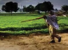 छत्तीसगढ़ में बारिश पर ब्रेक, किसानों की बोवनी-रोपाई की रफ्तार पड़ी धीमी
