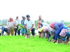 स्वयं ट्रैक्टर चलाकर धान रोपाई की तैयारियों का किया शुभारंभ