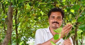 एग्री-टूरिज्म का नया गढ़ बना छत्तीसगढ़ का शिमला मैनपाट