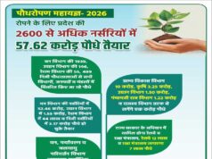 वन विभाग की 1939, उद्यान विभाग की 146, रेशम विभाग की 55, 499 निजी पौधशालाओं से सभी विभागों, जनपदों व मंडलों में वितरित किए जा रहे पौधे