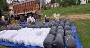 मक्के की बोरियों के बीच छिपाकर ले जाई जा रही 20 क्विंटल 30 किलोग्राम गांजा जब्त