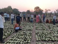 डिजिटल एवं पारदर्शी व्यवस्था से सीधे खातों में अंतरित हुई प्रोत्साहन पारिश्रमिक राशि, वनवासी परिवारों की आजीविका और ग्रामीण अर्थव्यवस्था को मिला नया संबल
