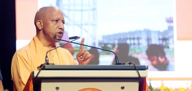 Yogi_03-13.jpg