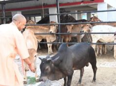 अब प्रतियोगिता से निखरेंगी गोशालाएं, उत्कृष्ट मॉडल को मिलेगा पुरस्कार