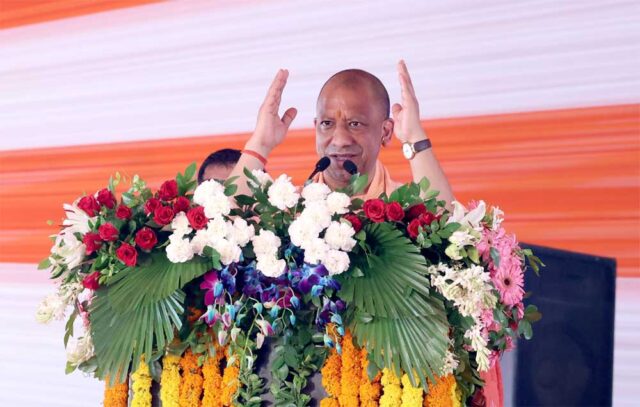 yOGI_01-13.jpg