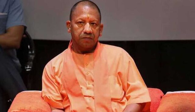 yogi_02-9.jpg