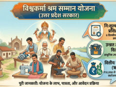 UP ODOP Scheme: कारीगरों को मिल रहा कारोबार बढ़ाने का सहारा, जानें योगी सरकार की मार्जिन मनी योजना
