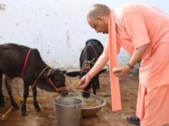 गो सेवा से ग्रीन इकोनॉमी तक, यूपी में 10 हजार गो मित्र तैयार करेगी योगी सरकार