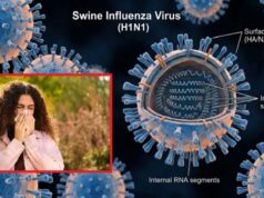 H1N1 से निपटने की तैयारी तेज, डॉक्टरों और फ्रंटलाइन स्टाफ को लगेगा स्वाइन फ्लू का टीका