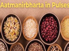 दलहन में आत्मनिर्भरता मिशन को रफ्तार! गतिविधियों की मॉनिटरिंग के लिए राज्य संचालन समिति गठित