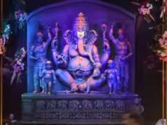 झांकी-पंडाल की साज-सज्जा के लिए अस्थाई बिजली कनेक्शन जरूरी: मंत्री तोमर