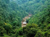 Forest Land Report: देश में सबसे ज्यादा वन भूमि का लैंड यूज बदला, MP में 371.54 वर्ग किमी जंगल हुए कम