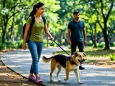 लखनऊ में पालतू पशुओं पर सख्ती, कुत्ते-बिल्ली के लिए लाइसेंस हुआ अनिवार्य