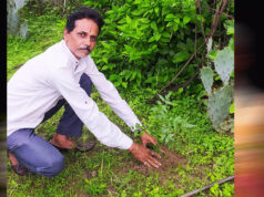 अनूपपुर जिला अध्यक्ष प्रकाश सोनी ने लगाए नीम का पौधे
