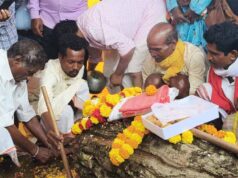 Bastar दशहरा का आगाज, साल की लकड़ी से शुरू हुई पहली रस्म; मां दंतेश्वरी को अर्पित किया गया काष्ठ