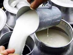 छत्तीसगढ़ में मिलावटी डेयरी उत्पादों पर कार्रवाई के संकेत, स्वास्थ्य मंत्री ने दिया सख्त संदेश