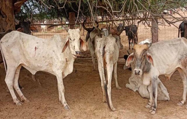 Chhattisgarh_News_04-1.jpg