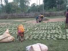 गांव के पास खुला फड़, 365 संग्राहकों को मिला सीधा आर्थिक लाभ