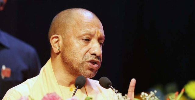 yogi_0_2_1-3.jpg