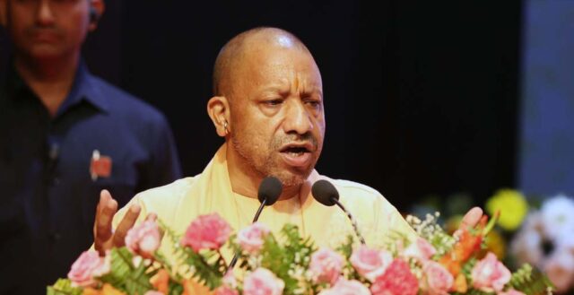 yogi_0_2_2-3.jpg