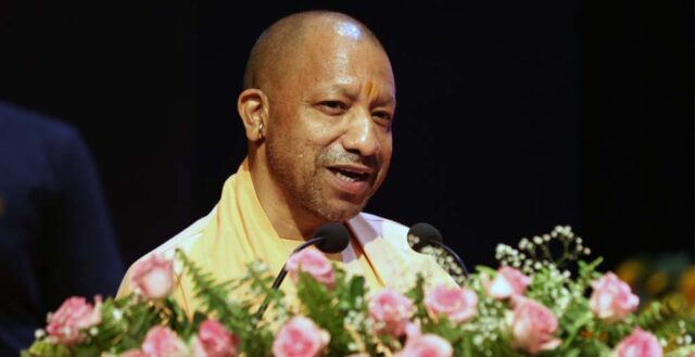 yogi_0_2_3-5.jpg