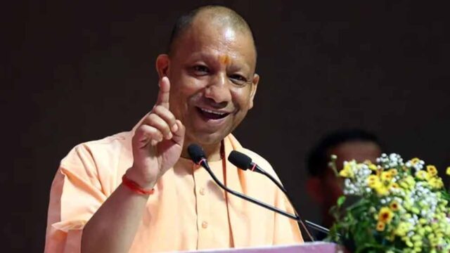 yogi_4-2.jpg