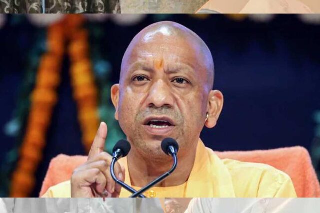 yogi_89_1.jpg