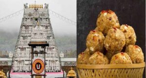 तिरुपति लड्डू को लेकर बड़ा खुलासा, घी में पाम ऑयल मिलाने का आरोप