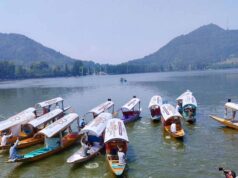 कश्मीर में लोकल आतंकियों की संख्या घटी, आर्टिकल 370 के बाद बदले हालात