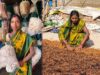 मशरूम और महुआ कारोबार से आत्मनिर्भर बनीं बबली, योजनाओं से मिली नई उड़ान