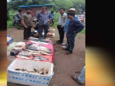 खुले में मछली विक्रय पर नगर पालिका की कार्रवाई, छह दुकानदारों पर 1,500 रुपये जुर्माना