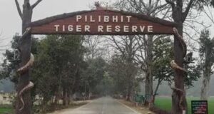 टाइगर रिजर्व में बढ़े टिकट के दाम, विदेशी पर्यटकों को अब देने होंगे 1000 रुपये