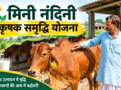 मिनी नंदिनी कृषक समृद्धि योजना में 20 और किसानों को मिला मौका, अब 26 लाभार्थी