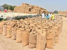 किसानों के लिए राहत की खबर, सुकमा में 6 नए धान खरीदी केंद्रों को मंजूरी