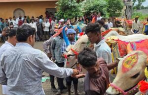 पोला पर्व पर छत्तीसगढ़ में खास आयोजन, CM विष्णुदेव साय होंगे शामिल