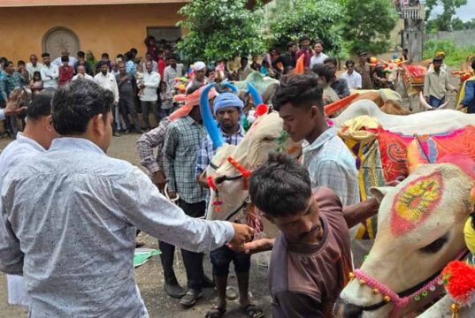 पोला पर्व पर छत्तीसगढ़ में खास आयोजन, CM विष्णुदेव साय होंगे शामिल