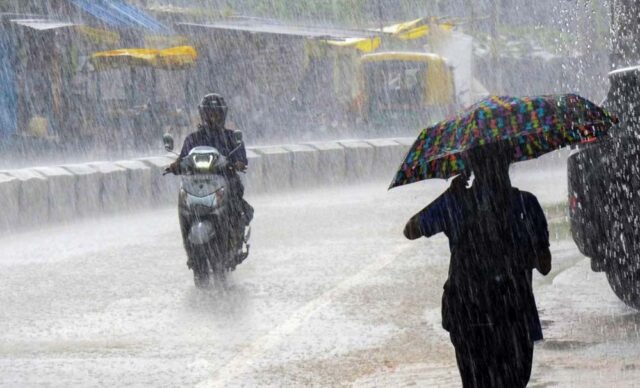 rain_7A_34_1.jpg