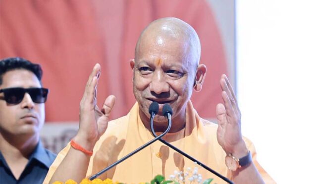 yogi-8.jpg