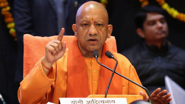 yogi_133_1-2.jpg