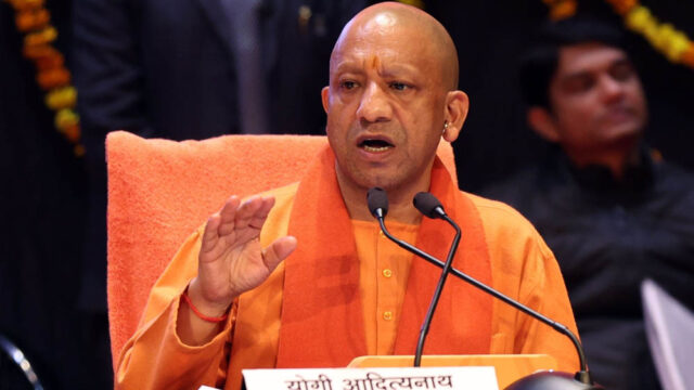 yogi_133_2-2.jpg