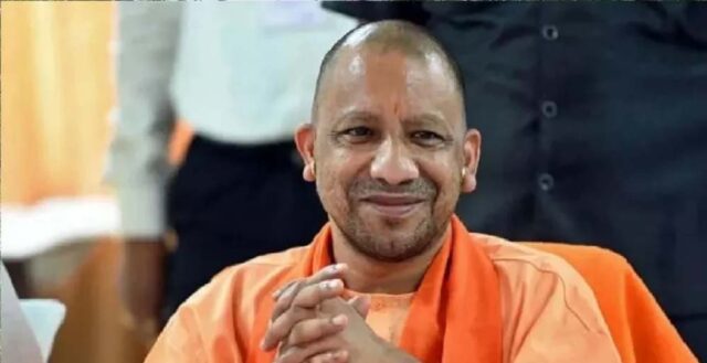 yogi_2_27_2-2.jpg