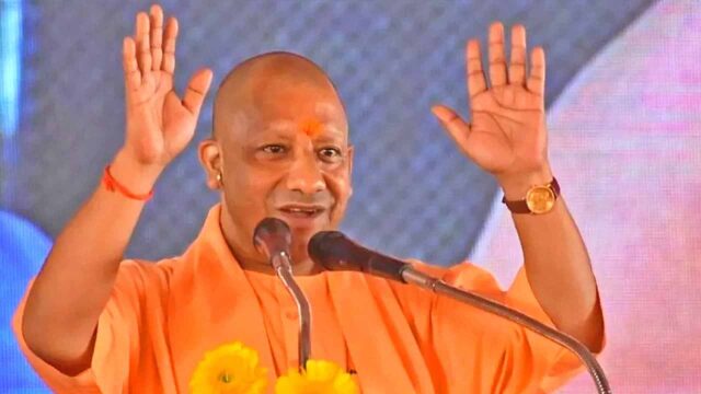 yogi_new_image-1.jpg