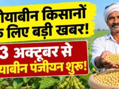 सोयाबीन किसानों के लिए बड़ी खबर, 3 अक्टूबर से पंजीयन; खाते में भेजे जाएंगे ₹1