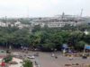 इंदौर की रानी सराय में कटेंगे 182 पेड़, हाई कोर्ट ने शर्तों के साथ दी अनुमति