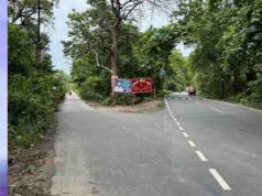 Bhopal Master Plan: वन क्षेत्रों और बाघों के प्रजनन जोन से गुजरेंगी सड़कें, प्लानिंग पर उठे सवाल