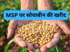 किसानों के लिए जरूरी खबर, सोयाबीन बेचने के लिए 3 से 17 अक्टूबर तक कराएं पंजीयन