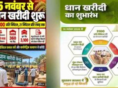 CG में धान खरीदी केंद्रों की संख्या बढ़कर होगी 3100, 15 नवंबर से शुरू होगी समर्थन मूल्य पर खरीदी