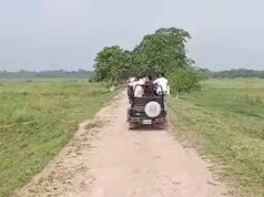असम में फिर शुरू हुई जंगल सफारी, मानस 2 और काजीरंगा 3 अक्टूबर से पर्यटकों के लिए खुले