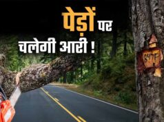 भोपाल में 2.89 लाख पेड़ों पर मंडराया संकट! 791 किमी सड़क नेटवर्क के प्रस्ताव से विशेषज्ञ चिंतित