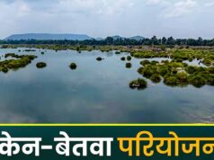 केन-बेतवा परियोजना से पन्ना टाइगर रिजर्व को खतरा? हाईकोर्ट ने केंद्र से मांगी पर्यावरणीय रिपोर्ट